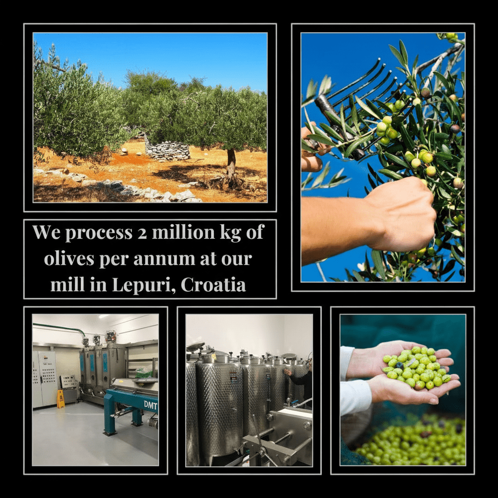 Cipressena Blend – Early Harvest Olive Oil (1100 mg/kg) - 500ml - Dalmatia Oil Shop